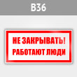 ���� ��� ���������! �������� ����, B36 (������, 200�100 ��)